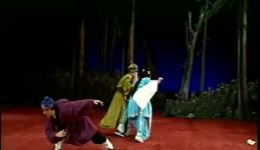 评剧《哑女告状》全剧下载 - 艾丽珍主演经典剧目在线观看下载