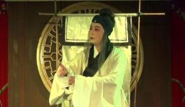 京剧《金龟记 哭灵》林蔚演唱片段 传统戏曲经典选段在线下载下载