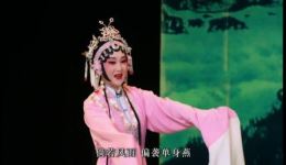 2021版潮剧《金花女》全集下载，黄晓婷陈婷婷主演，经典潮剧资源速取下载