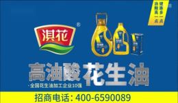 2020全国戏迷擂台赛少儿组总决赛
