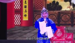 荆州花鼓戏《巡按斩子》全集高清下载,地方戏曲经典剧目在线观看 荆州花鼓戏《巡按斩子》全集高清下载,地方戏曲经典剧目在线观看