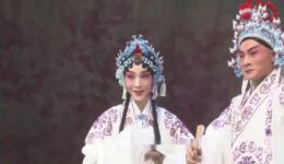 河北梆子《野猪林》选段 郝士超孙娜倾情演唱 经典戏曲在线下载下载