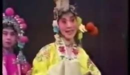 京剧《霸王别姬》全剧高清下载 - 许嘉宝刘金泉等名家经典演绎楚汉悲歌下载