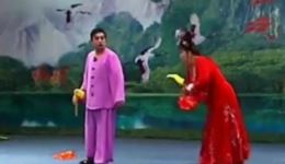 二人转正戏《张郎休妻》孙文学郑桂云演唱mp4视频下载｜东北经典戏曲资源下载