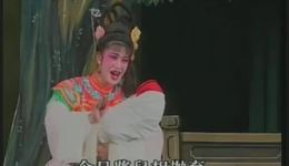 杨天梅