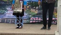 侗戏《招画》高清戏曲视频下载，经典侗族传统剧目资源免费获取