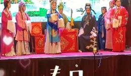 推剧《大宋金球记》全剧下载 - 安徽地方戏曲经典剧目在线观看 推剧《大宋金球记》全剧下载 - 安徽地方戏曲经典剧目在线观看