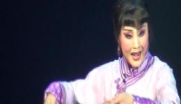河北梆子《北国佳人》上集高清下载 - 王洪玲雷保春王英会主演经典戏曲资源