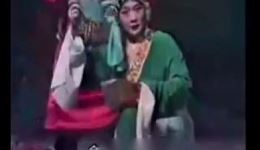 1983潮剧《金花女》片段在线观看 郑小霞主演经典潮剧选段下载