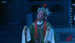 新编越剧《狸猫换太子》全剧下载 吴凤花陈飞等主演 高清字幕版资源下载