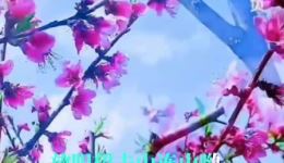 贵州山歌《小妹快快来小哥在等待》在线下载，原汁原味对唱山歌资源免费获取