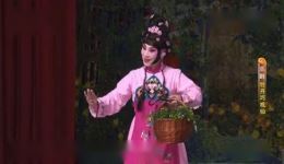 京剧《牡丹巧戏仙》闫巍卢松主演，经典民间故事改编，在线观看下载下载