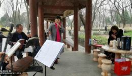 豫剧《大祭桩》选段“婆母娘且息怒”在线下载,经典戏曲资源免费获取 豫剧《大祭桩》选段“婆母娘且息怒”在线下载,经典戏曲资源免费获取