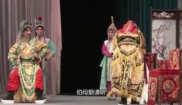 豫剧马派名剧《花枪缘》全场完整版下载，许青枝领衔主演经典戏曲资源