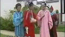 女驸马后传