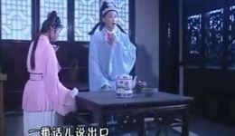 豆腐女风流记