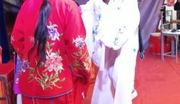 荆州花鼓戏《白扇记》刘汉玉演唱,经典地方戏曲在线下载 荆州花鼓戏《白扇记》刘汉玉演唱,经典地方戏曲在线下载