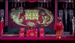 沈惠兰薛平鸽主演大型古装锡剧《哑女告状》全剧下载 - 正版锡剧资源