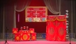 保定清苑哈哈腔《刘金定下山》全集高清下载 - 李新女主演经典戏曲资源
