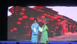 真假牡丹