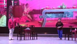 大法官的私生子
