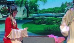 豫剧《泪洒相思地》孙花蕊演唱，经典戏曲资源在线下载下载