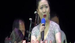 河北梆子《洪湖赤卫队》选段 张迪演唱 经典红色戏曲在线下载