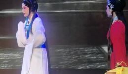 雷剧经典《狸猫换太子》在线观看沈小惠倾情演绎，宫廷权谋大戏震撼呈现下载