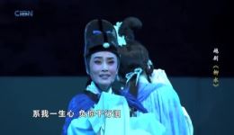 越剧《柳永》全剧下载｜王君安郑全主演 梅花奖经典剧目 完整字幕高清资源下载