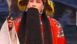 上党落子《斩子》选段下载|经典戏曲片段资源|非遗剧种在线观看 上党落子《斩子》选段下载|经典戏曲片段资源|非遗剧种在线观看