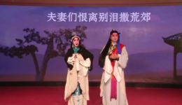 免费京剧《野猪林》全剧下载 - 经典水浒题材京剧全场资源 免费京剧《野猪林》全剧下载 - 经典水浒题材京剧全场资源