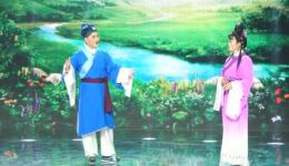 黄梅戏《夫妻双双把家还》燕妮张伟反串演绎 经典唱段精彩呈现
