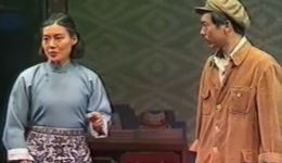 豫剧《倒霉大叔的婚事》全场资源下载，汤玉英任宏恩主演经典戏曲