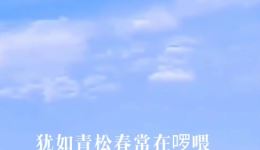 鸳鸯戏水两相欢