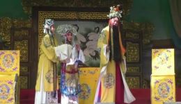 刘忠河主演豫剧《打金枝》全场戏在线观看，经典唱腔演绎唐宫家事下载