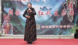 河南豫剧《花喜鹊》选段在线观看 王如意精彩演唱 经典戏曲资源下载下载