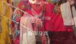 白字戏《玉鸳鸯》选段下载 陈海琼演绎父命难违经典戏曲资源