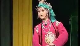 婺剧《玉麒麟》全集老碟片下载,经典传统戏曲资源 婺剧《玉麒麟》全集老碟片下载,经典传统戏曲资源