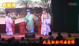 豫剧《青蛇传》全场完整版下载宋阿明肖秀莲主演经典戏曲