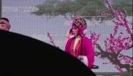 免费大型古装锡剧《玉蜻蜓》全剧下载，吴铁军等名家主演，高清资源一键获取下载