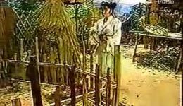 四季红之乱世情深