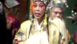 豫剧《金銮喜》张月荣演唱，经典戏曲全场精选，免费资源速存