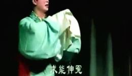 龙凤金耳扒