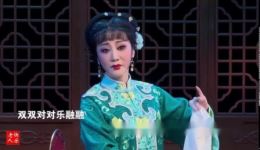 董云华演唱锡剧《嫁媳》选段,冬去春残风雨中经典戏曲在线聆听下载 董云华演唱锡剧《嫁媳》选段,冬去春残风雨中经典戏曲在线聆听下载