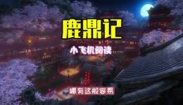 鹿鼎记