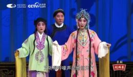 北京京剧院经典京剧《锁麟囊》全剧在线观看，程派名剧高清资源下载