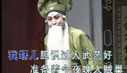 孙红丽晋剧专辑下载｜丁派老生经典演绎 唱腔独特韵味十足下载