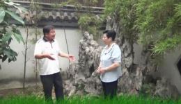攀弓带
