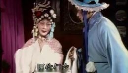 淮剧《卖油郎与花魁女》选段《春暖花魁》陈德林黄淑萍演唱，经典戏曲在线下载
