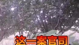 打镇台